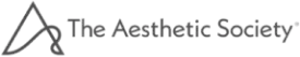 the aesthetic society